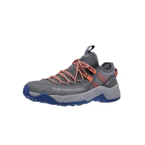 THE NORTH FACE Cushioning, Wear Resistant Low top Casual Shoes Men's Gray