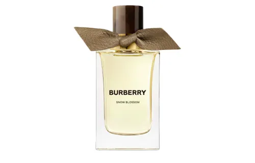 Burberry Premium