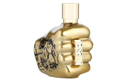 DIESEL Courageous Spirit Men's
