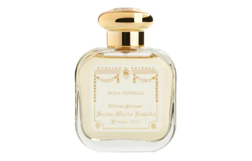 Santa Maria Novella 1221 Monastery Rose