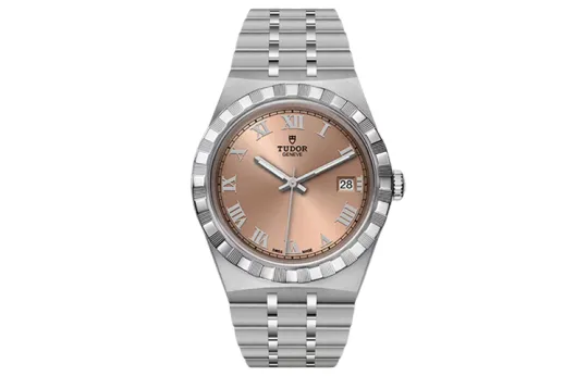 TUDOR Royal Collection Automatic Mechanical Movement 100m Waterproof Men's Watches Watch 38mm Coffee Watch Dial