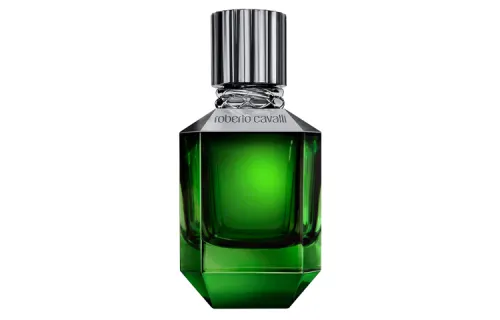 Roberto Cavalli Eden Garden Men's Woody