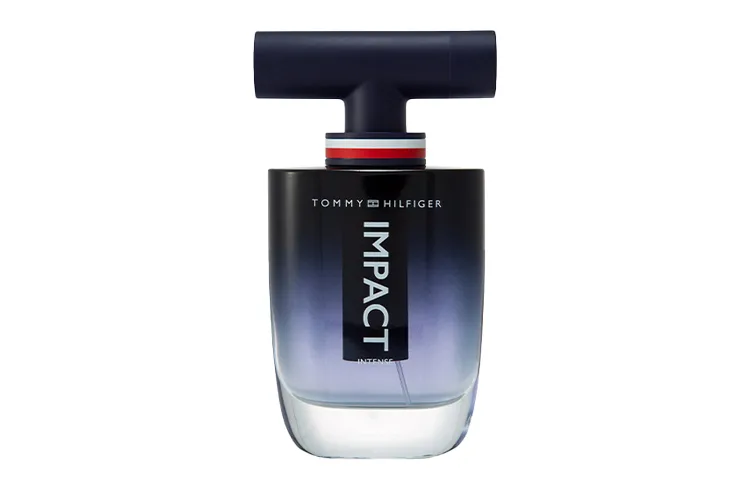 Tommy Hilfiger Upgraded Instant Inspiration Men's Perfumes Citrus Scent Family Aromatic Scent Family Eau De Parfum EDP