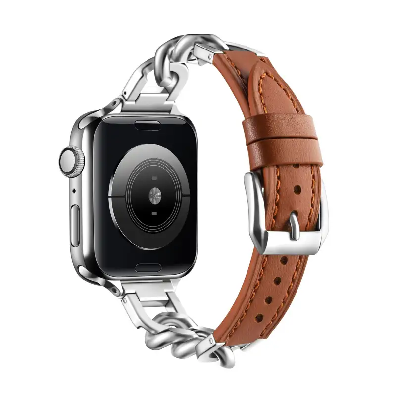 Biaodaige Strap Apple Compatibility Metal