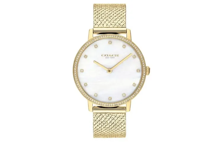 COACH AUDREY Wrist Watches Quartz Movement Stainless Steel Strap 35mm White Dial Women's Watch