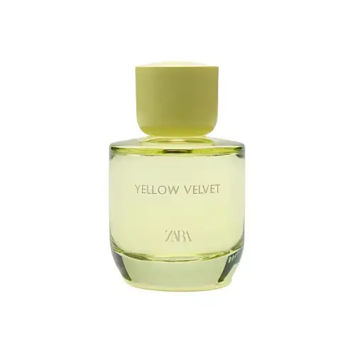 ZARA Yellow Velvet