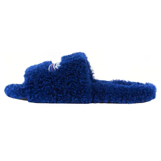 Balenciaga Furry Slide Blue