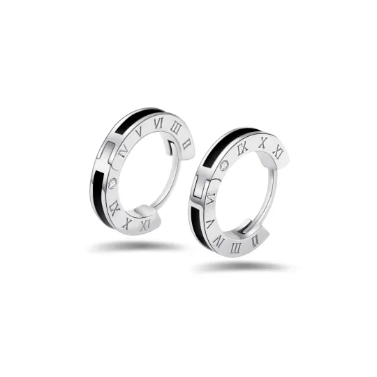 ZSY 925 Sterling Silver Stud Earrings Men's Box