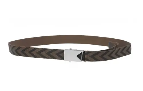 Bottega Veneta Belts Men's Brown