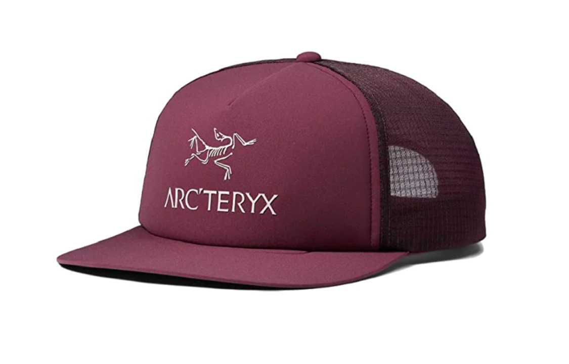 Бейсболка Arcteryx с вышивкой Logo (фиолетовая)