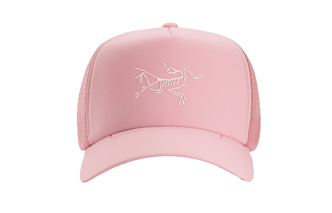 Кепка Arcteryx bird trucker (синяя)