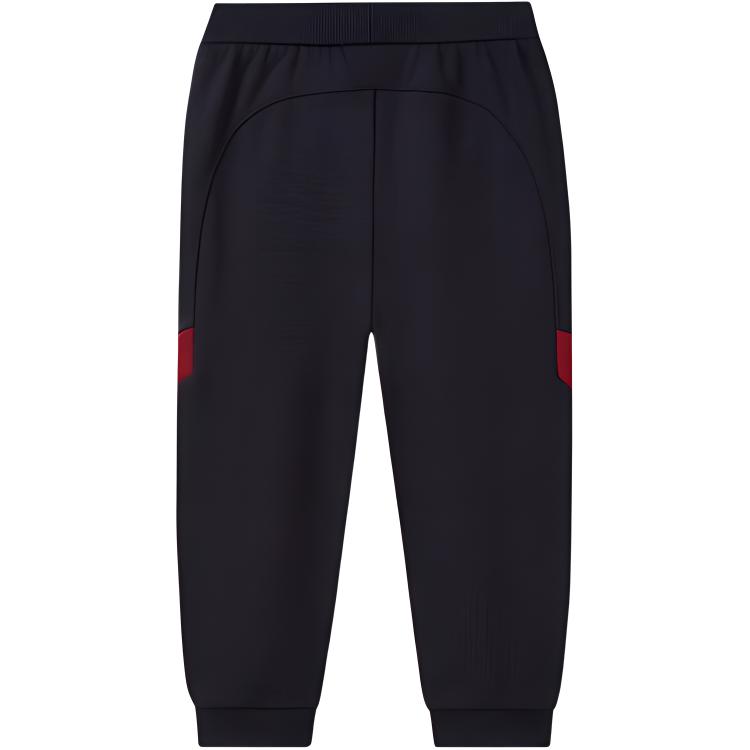 Мужские штаны Fila Originale Pants (синие) — фото 2