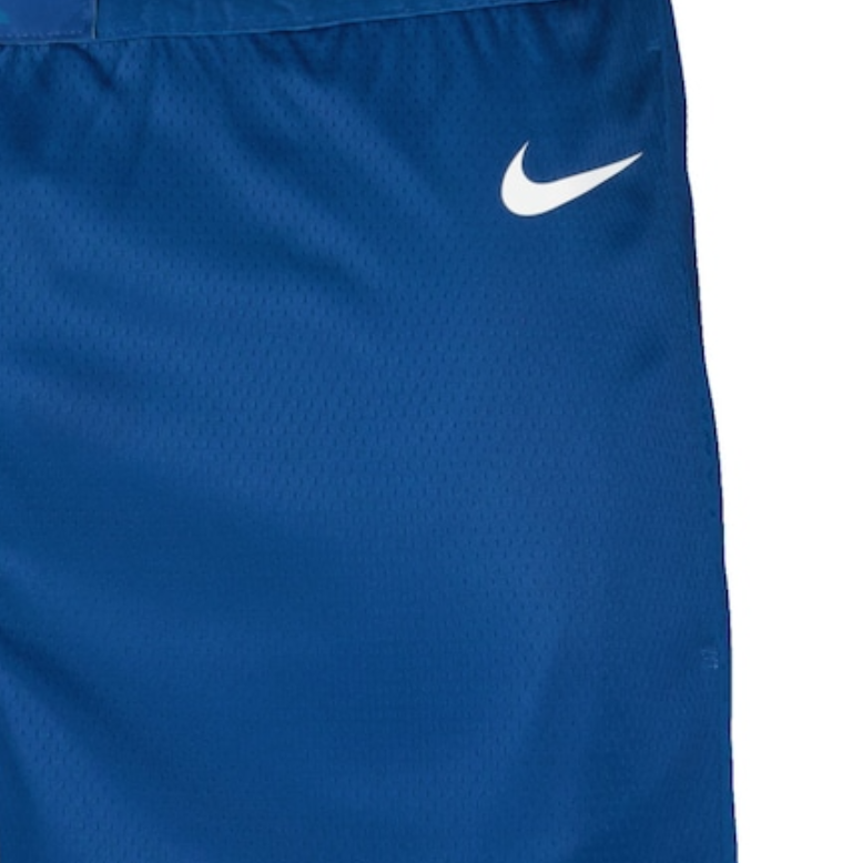 Nike Minnesota Swingman Basketball Shorts Unisex Blue