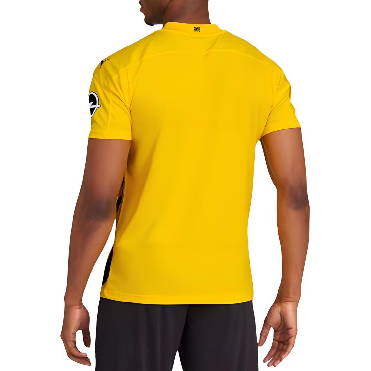 Мужская футболка PUMA BVB BORUSSIA (желтая) — фото 5