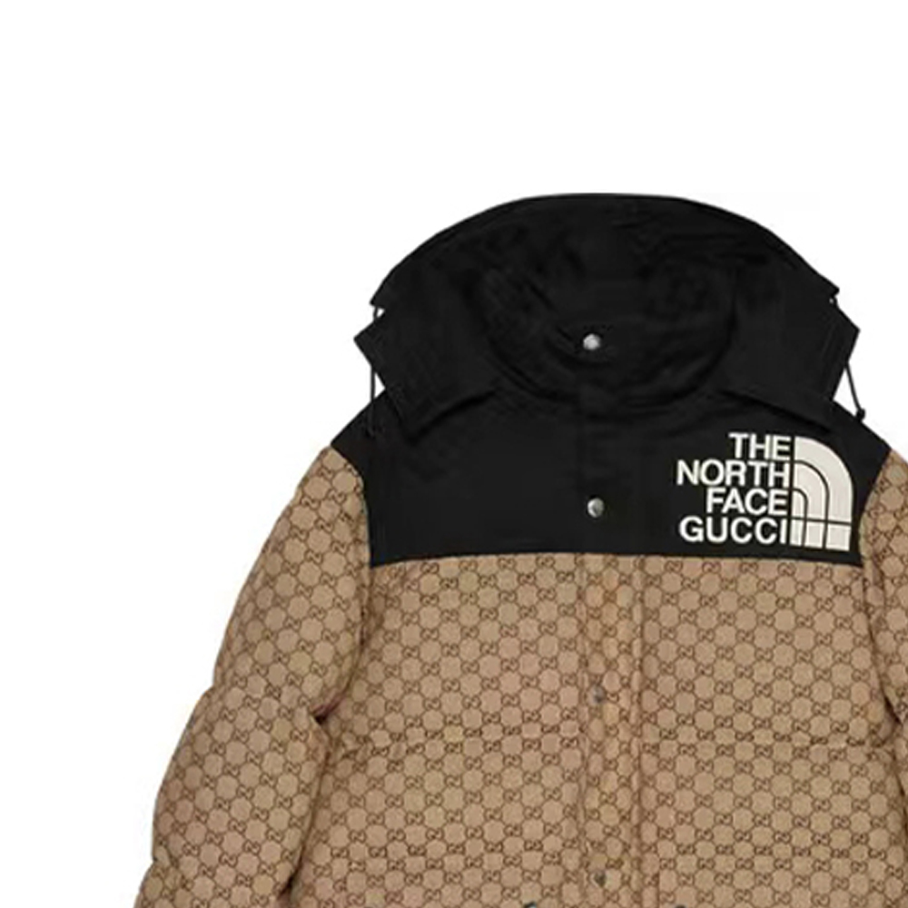 GUCCI x /THE NORTH FACE  FW21 GG   