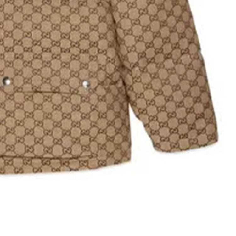 GUCCI x /THE NORTH FACE  FW21 GG   