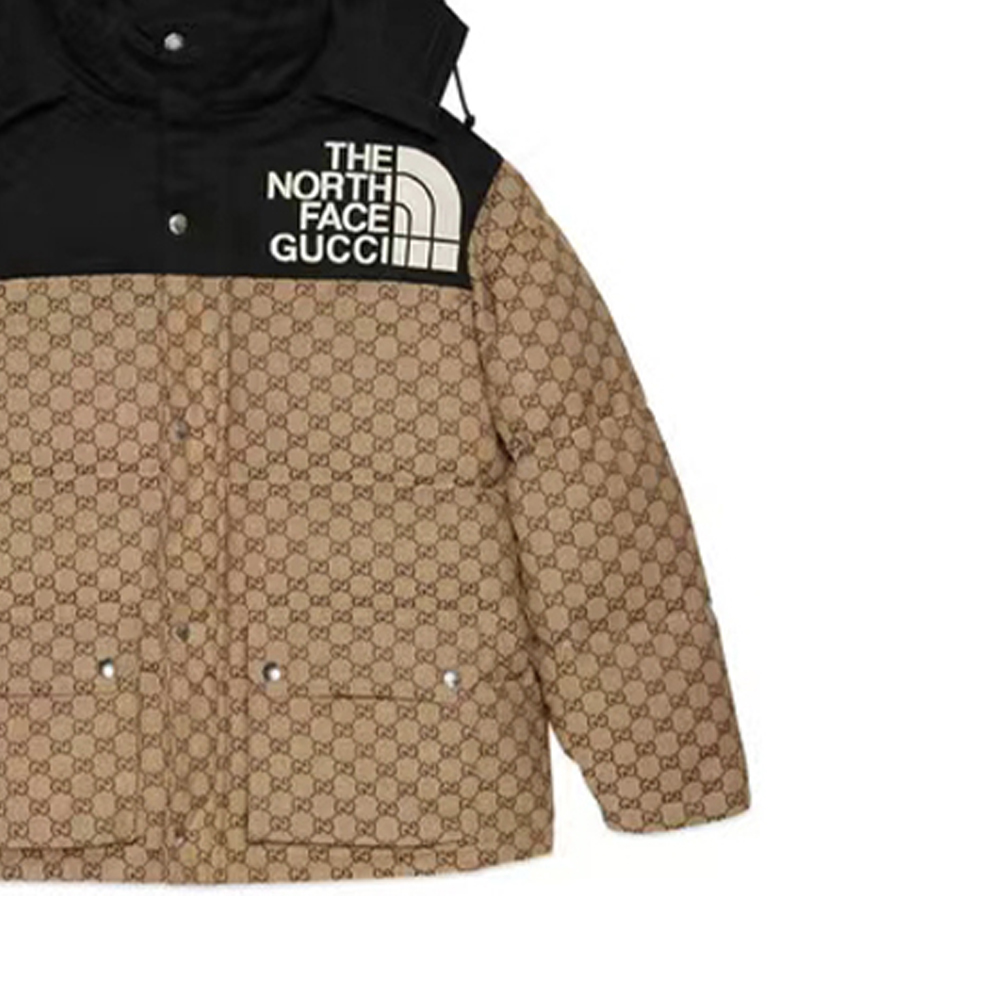 GUCCI x /THE NORTH FACE  FW21 GG   