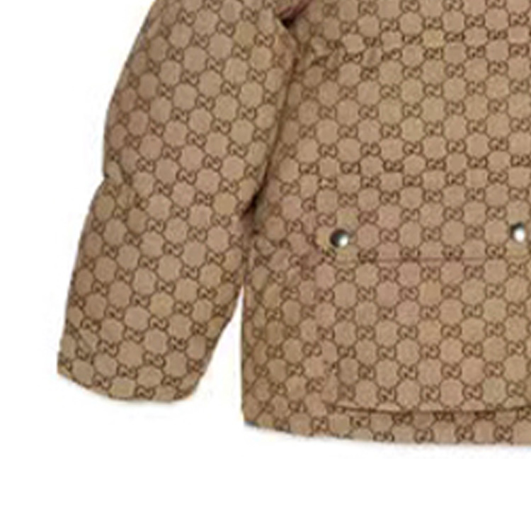 GUCCI x /THE NORTH FACE  FW21 GG   