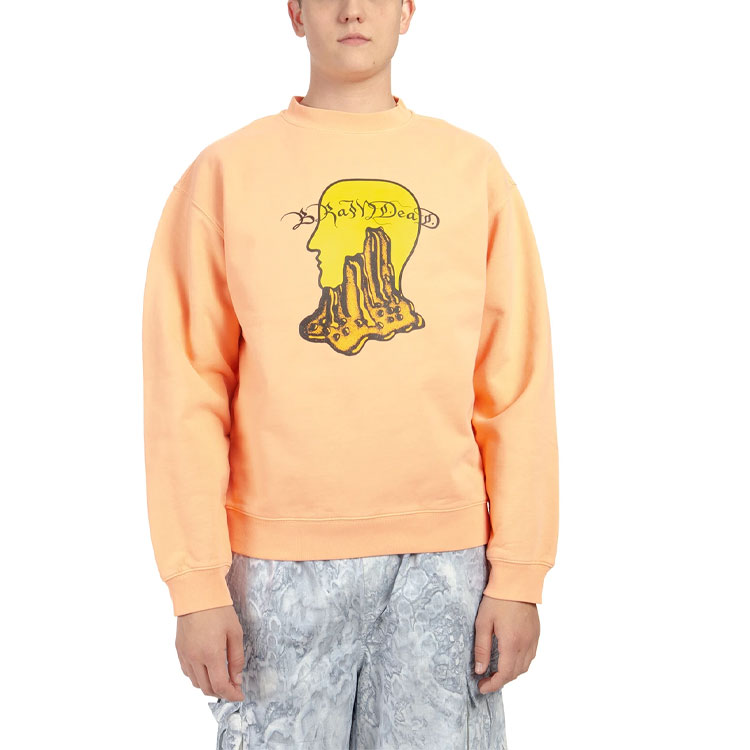 Мужское худи Brain Dead FW21 Mount Slime Crewneck (оранжевое) — фото 3