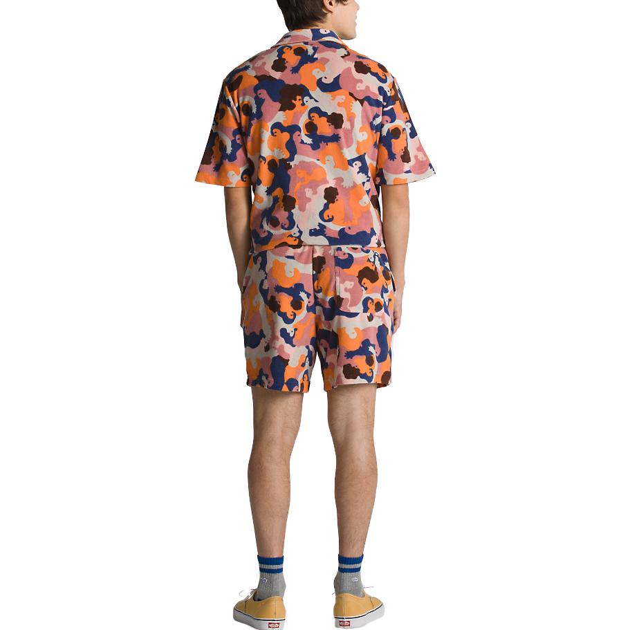 Мужские шорты Vans queer poets tyris winter shorts (разноцветные) — фото 3