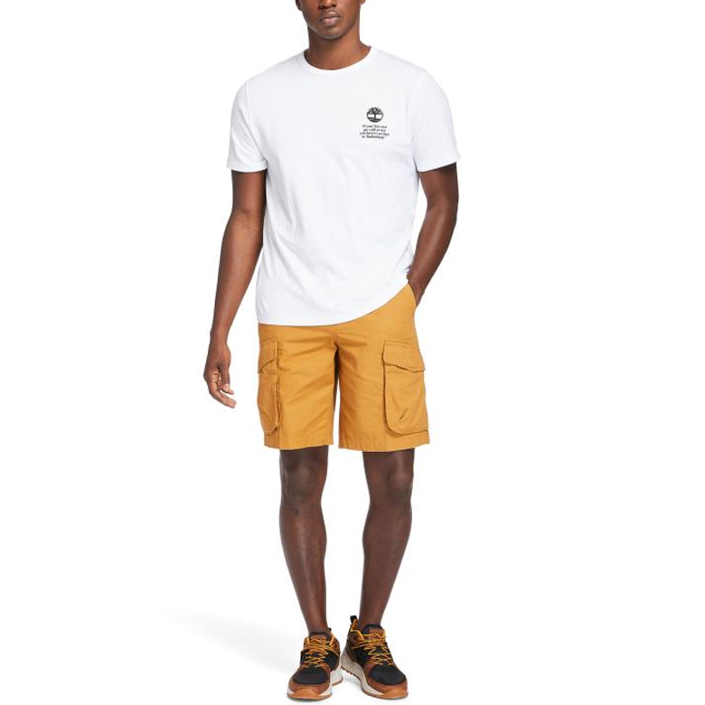 Мужская футболка Timberland SS21 T (белый) — фото 4