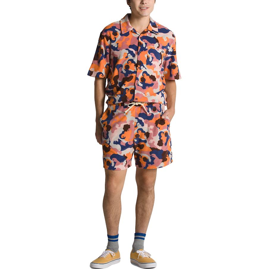 Мужские шорты Vans queer poets tyris winter shorts (разноцветные) — фото 4