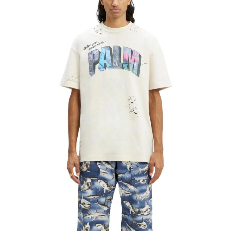 Мужская футболка PALM ANGELS SS23 Logo (белая) — фото 3