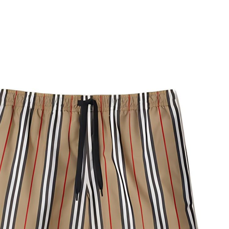 Burberry Striped Check Print Swim Shorts