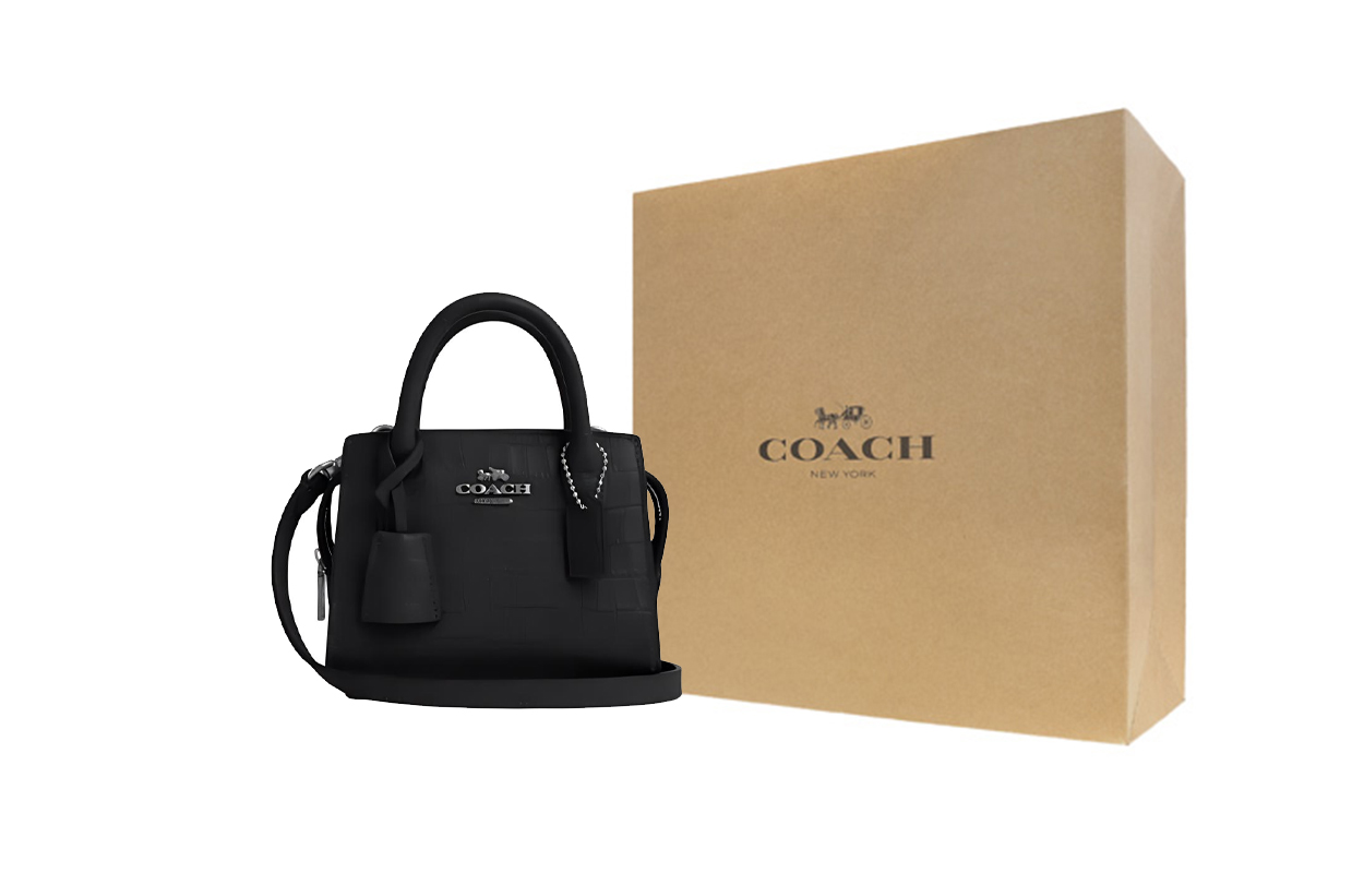 Женская сумка COACH Andrea 15 (серебряно-черная)