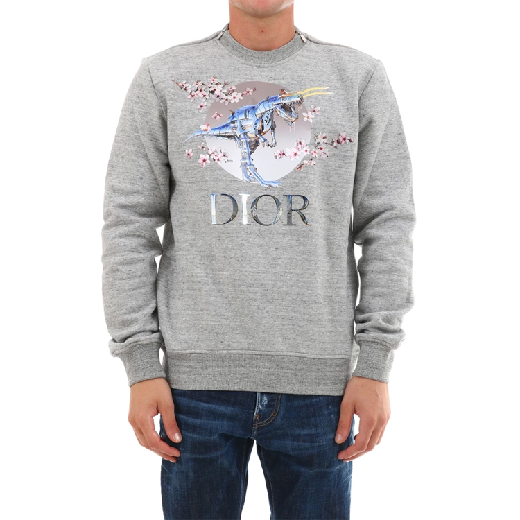 Худи Dior (серое) — фото 4