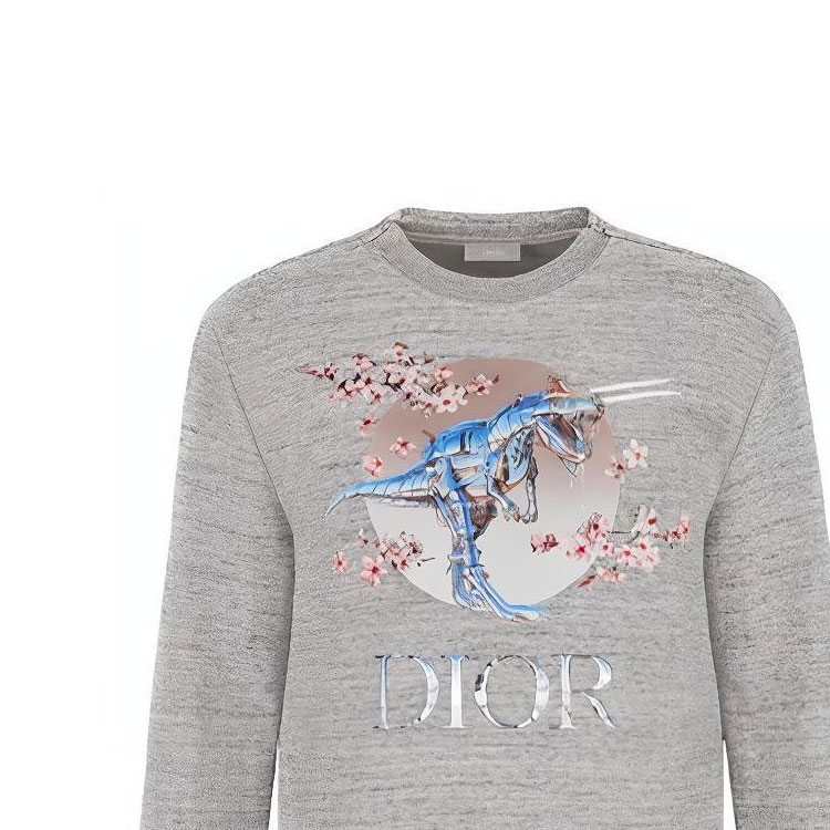 Худи Dior (серое) — фото 12