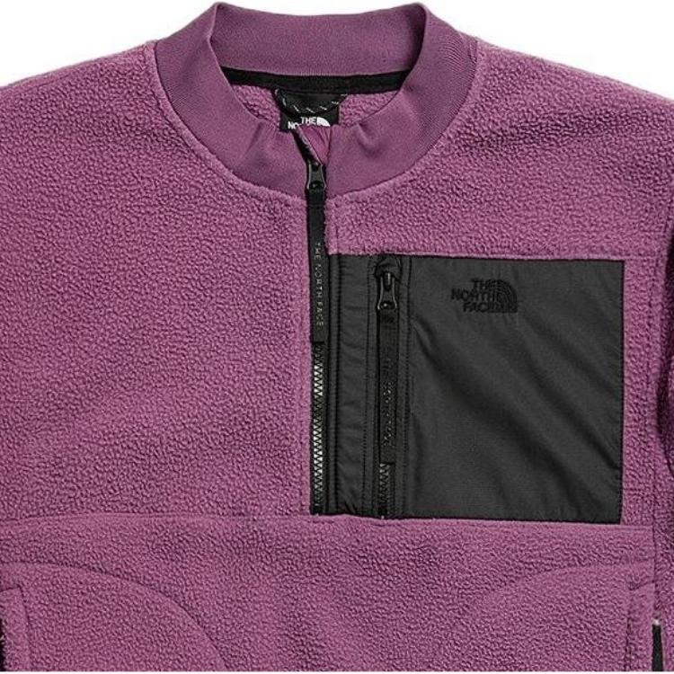 THE NORTH FACE Fleece Tops Women’s Purple Half Turtleneck Moderate Regular