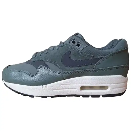 Nike Air Max 1 Low top Running Shoes Women's Gray