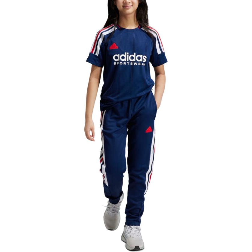 Штаны adidas (синий) — фото 2
