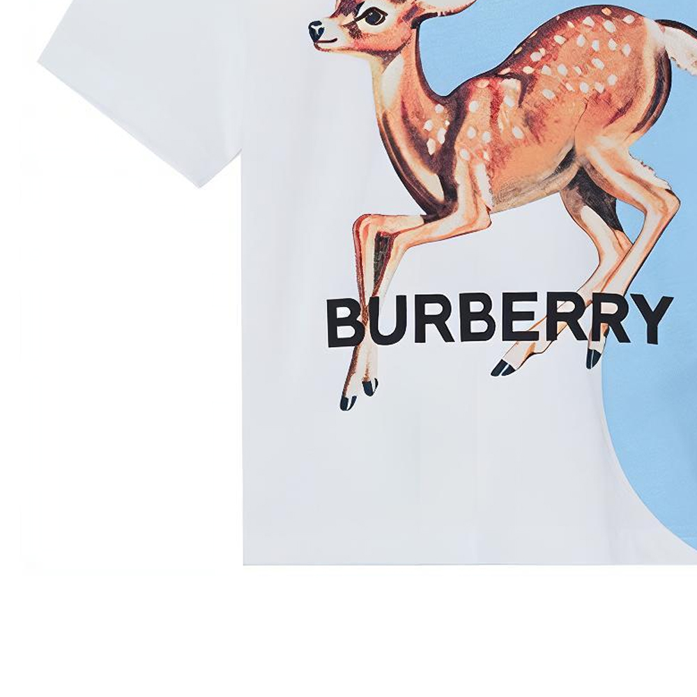 Футболка Burberry BurberryT Logo (белый) — фото 5
