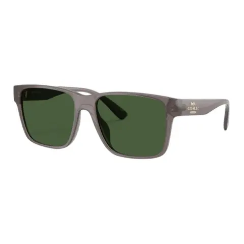 COACH Square Sunglasses Unisex Transparent Gray