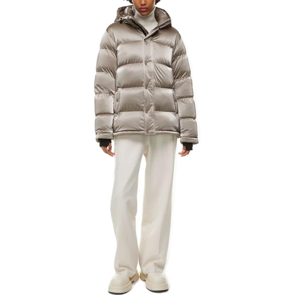 ARITZIA Super Puff Liquid Shine 5 