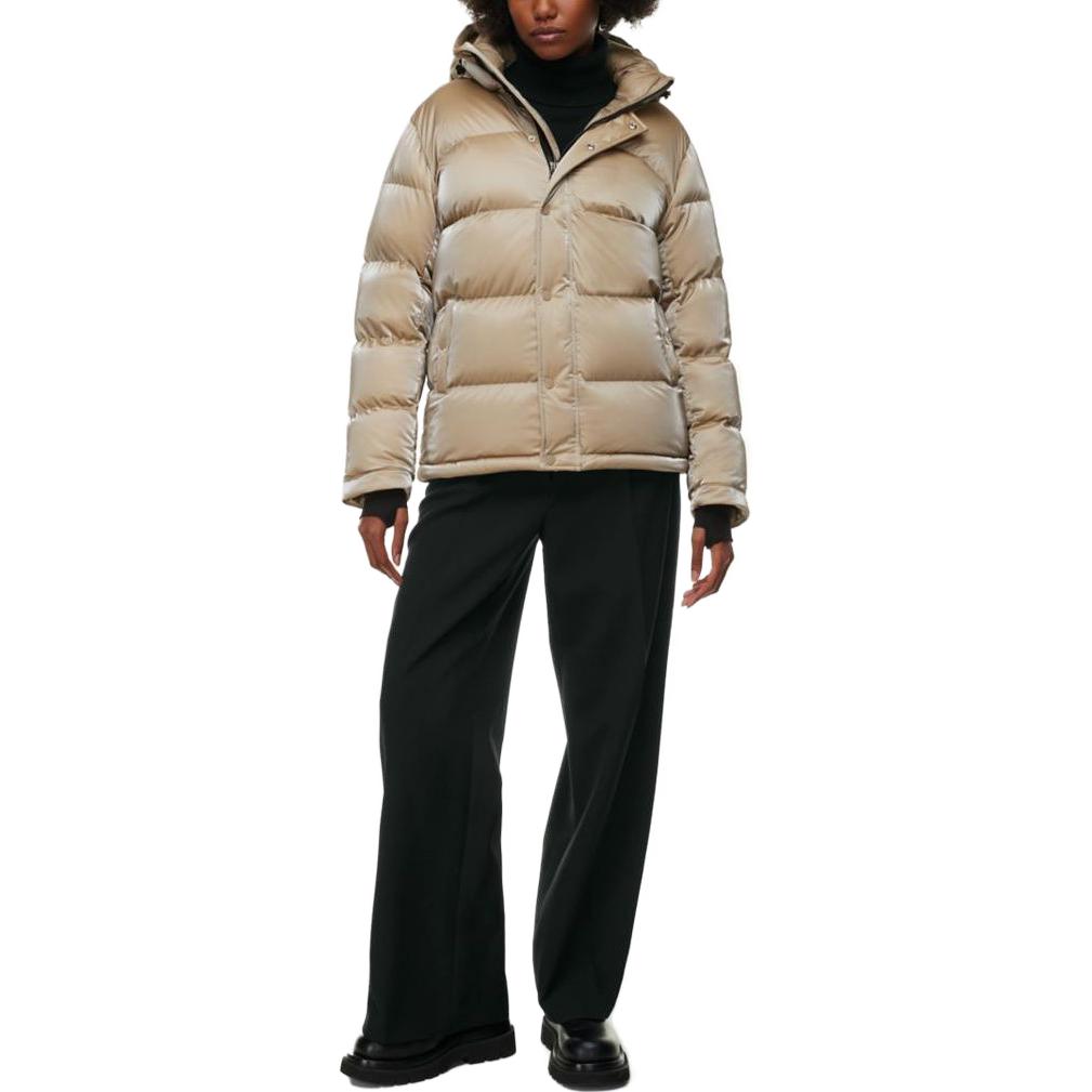 ARITZIA Super Puff Liquid Shine 5 