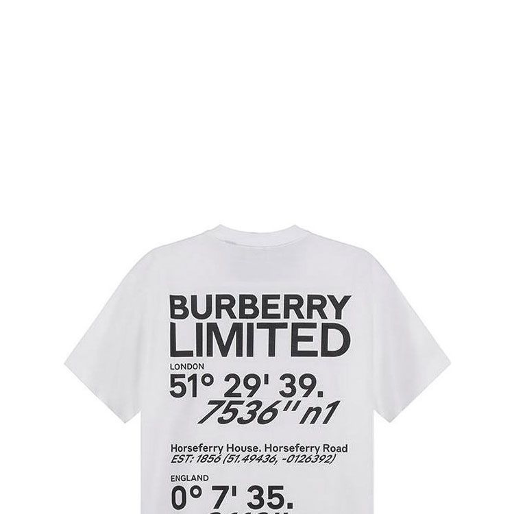 Женская футболка Burberry T (белая) — фото 6