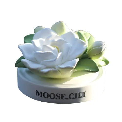 Creative perfumed perfume, universal aromatherapy for auto