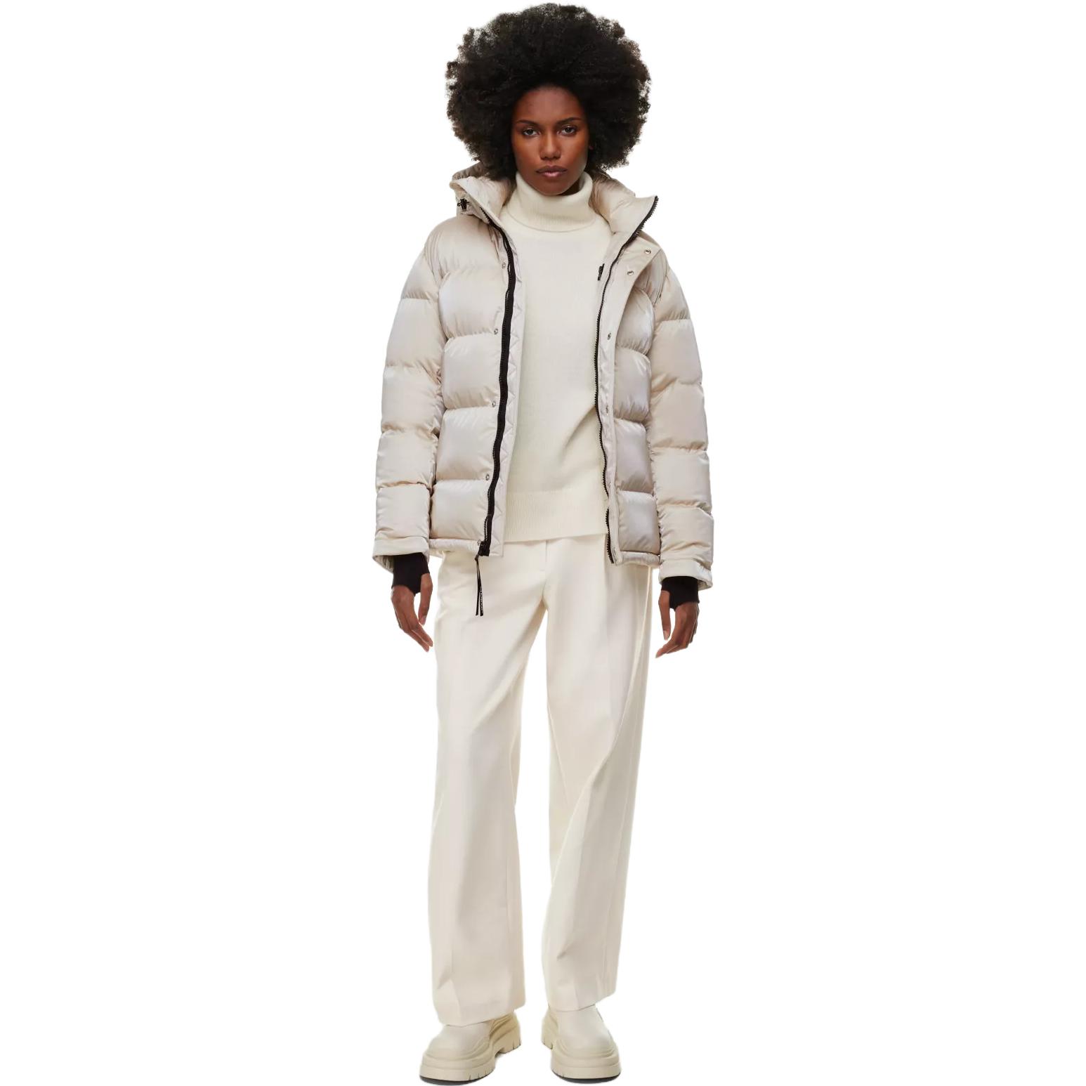 ARITZIA Super Puff Liquid Shine 5 
