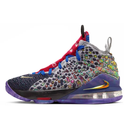 Nike LeBron 17 What The GS