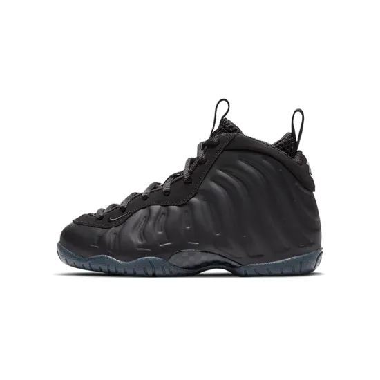 Nike Air Foamposite One Anthracite 2020 PS