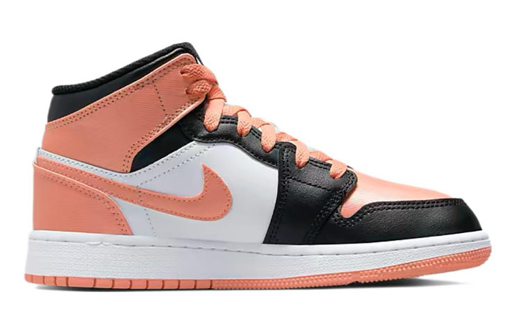 Jordan Air Jordan 1 Mid GS