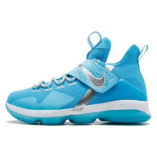 Nike LeBron 14 Ric Flair GS