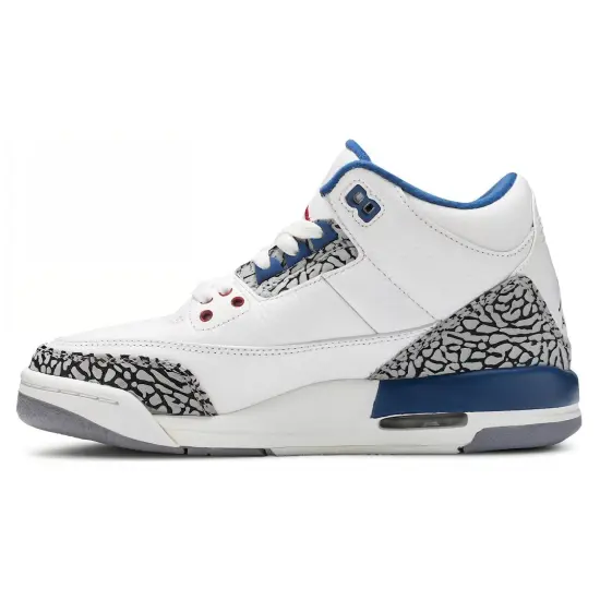 Jordan 3 Retro True Blue 2011 GS
