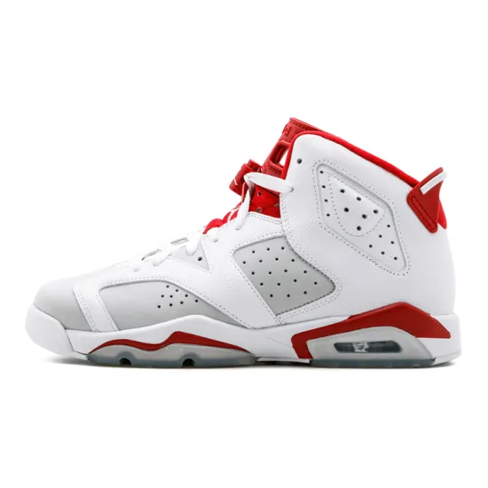 Jordan 6 Retro Alternate Hare GS