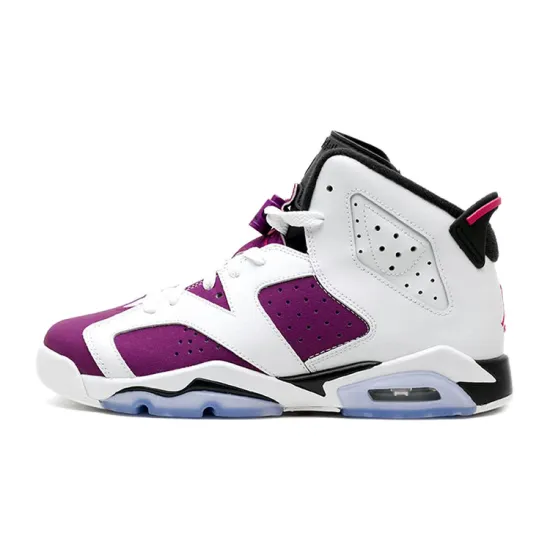 Jordan 6 Retro Grape GS