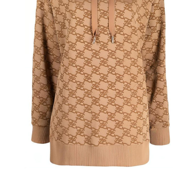 Женское худи Fendi Logo Hoodie (коричневое) — фото 6