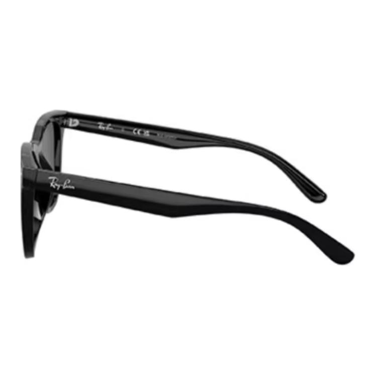 очки RayBan (черные) — фото 4
